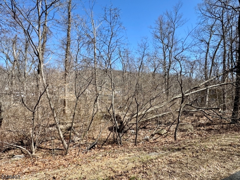11 Wills Avenue Hopatcong NJ 07874