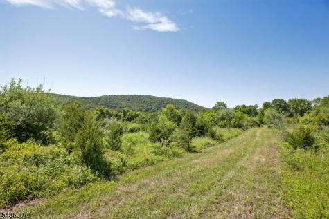 37 Swayze Mill Road Hope NJ 07825
