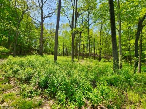 74 River Road Montague NJ 07827