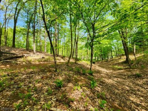 74 River Road Montague NJ 07827