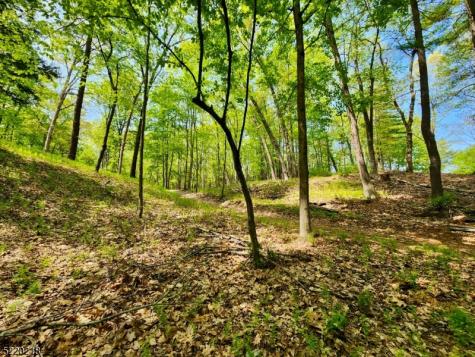 74 River Road Montague NJ 07827