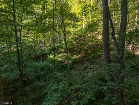 Sweet Hollow Road Holland NJ 08848
