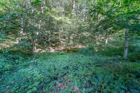Sweet Hollow Road Holland NJ 08848
