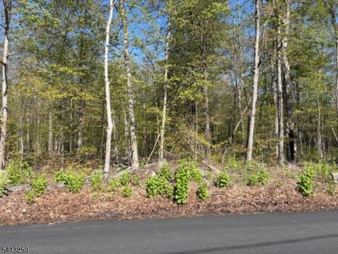 Schoolhouse Road Jefferson NJ 07438