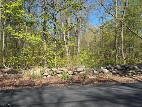 Schoolhouse Road Jefferson NJ 07438