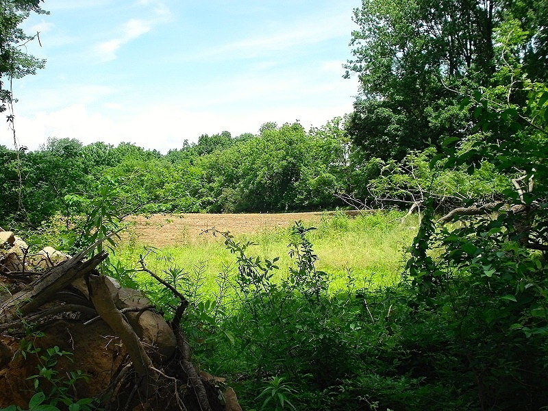 Mellicks Woods Road Pohatcong NJ 08804