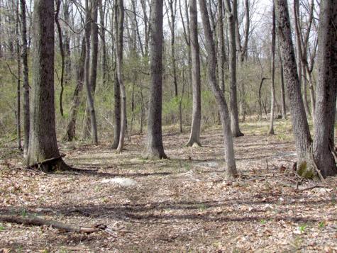 Mellicks Woods Road Pohatcong NJ 08804