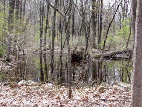 Mellicks Woods Road Pohatcong NJ 08804