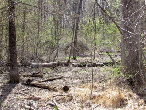 Mellicks Woods Road Pohatcong NJ 08804