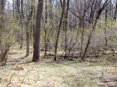 Mellicks Woods Road Pohatcong NJ 08804