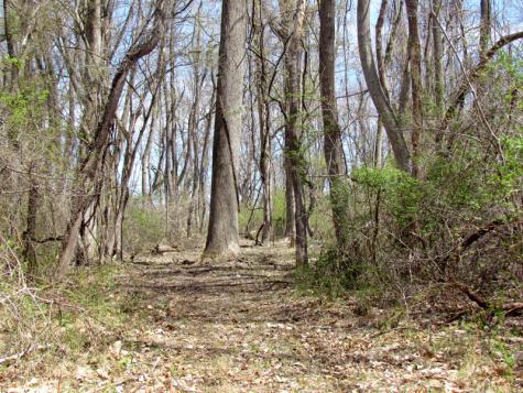 Mellicks Woods Road Pohatcong NJ 08804