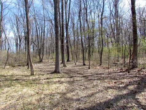 Mellicks Woods Road Pohatcong NJ 08804