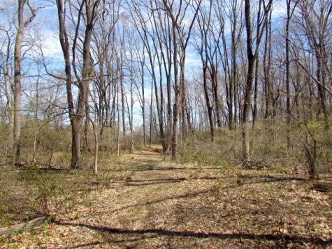 Mellicks Woods Road Pohatcong NJ 08804