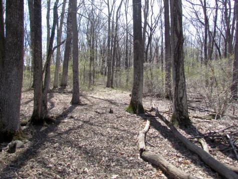 Mellicks Woods Road Pohatcong NJ 08804