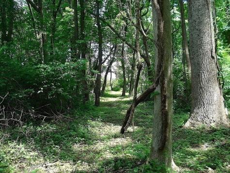Mellicks Woods Road Pohatcong NJ 08804