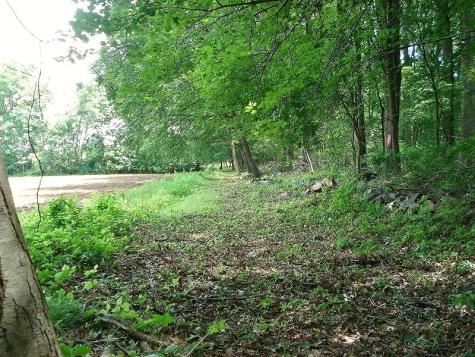 Mellicks Woods Road Pohatcong NJ 08804