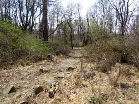 Mellicks Woods Road Pohatcong NJ 08804
