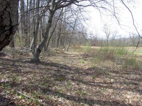 Mellicks Woods Road Pohatcong NJ 08804
