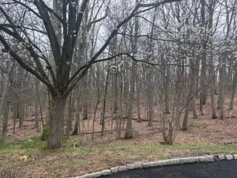 14 Cathy Lane Mount Olive NJ 07836