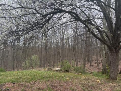14 Cathy Lane Mount Olive NJ 07836