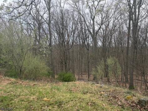 14 Cathy Lane Mount Olive NJ 07836