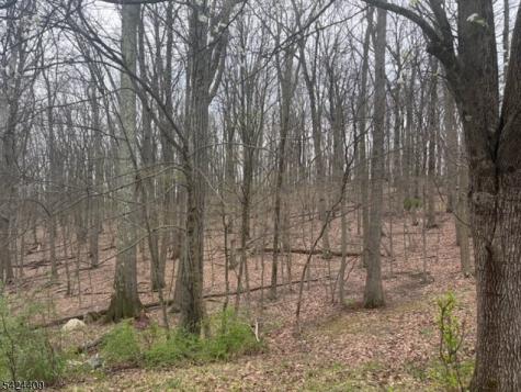 14 Cathy Lane Mount Olive NJ 07836