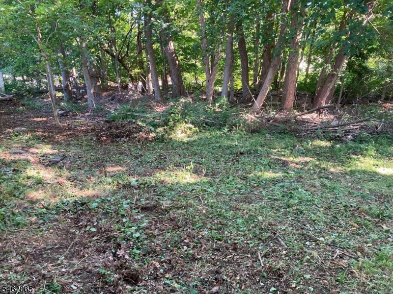 6 Watnong Road Morris NJ 07950