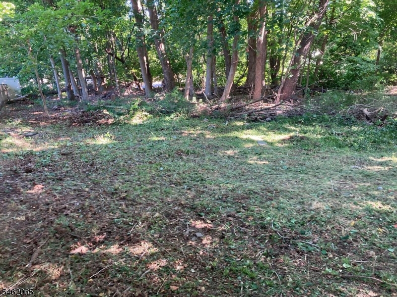 6 Watnong Road Morris NJ 07950