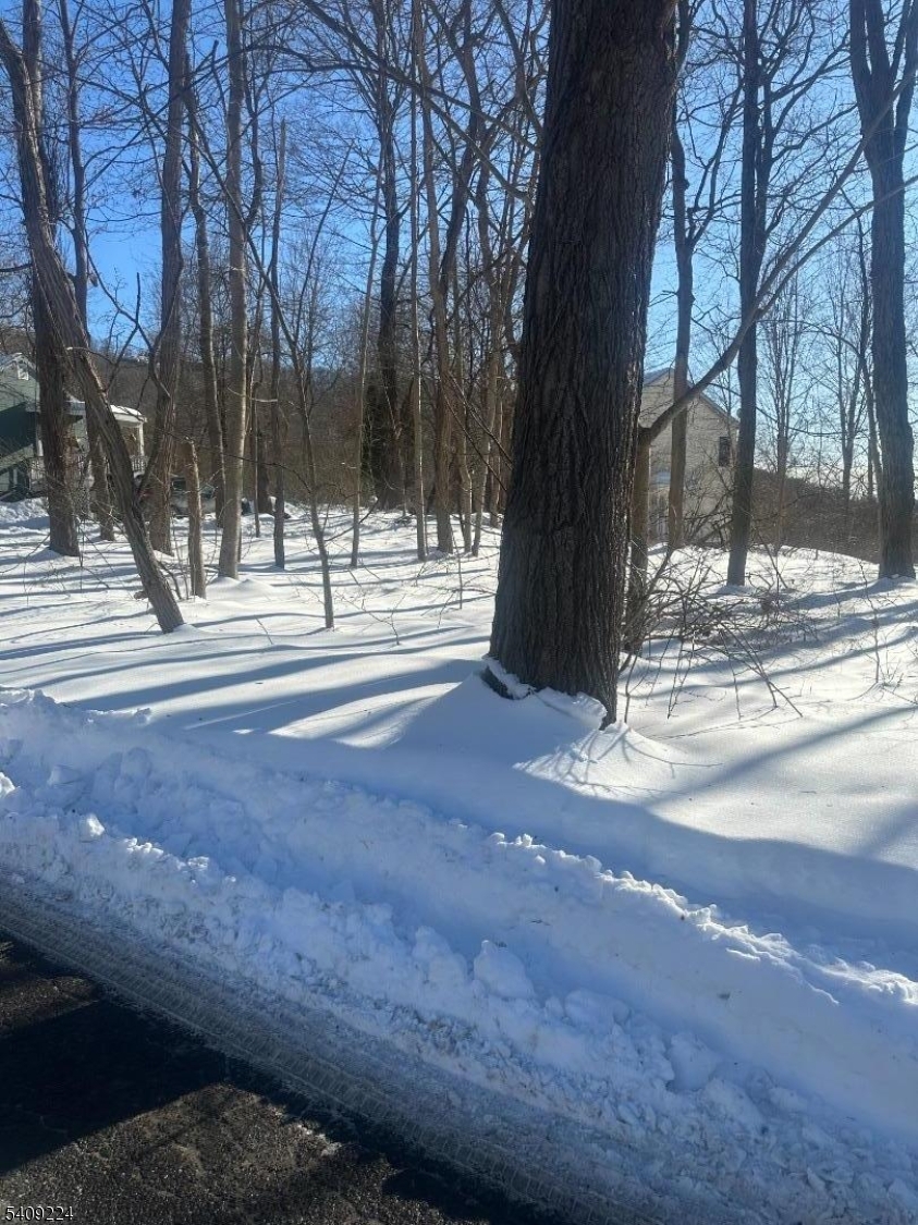 2 Pine Drive Liberty NJ 07823