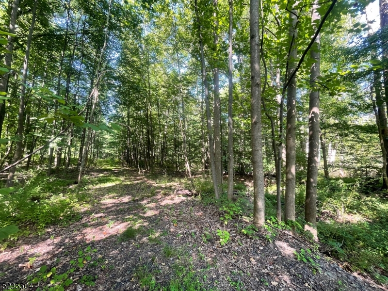 29 Elm Avenue Warren NJ 07059