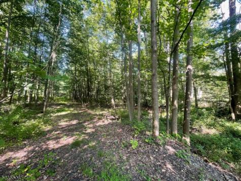 29 Elm Avenue Warren NJ 07059