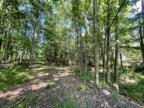 29 Elm Avenue Warren NJ 07059