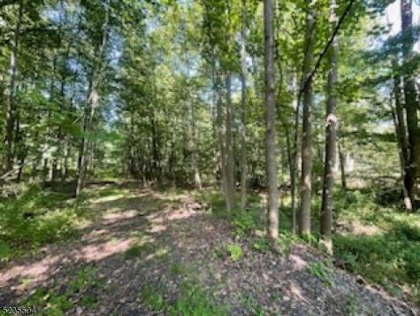 29 Elm Avenue Warren NJ 07059