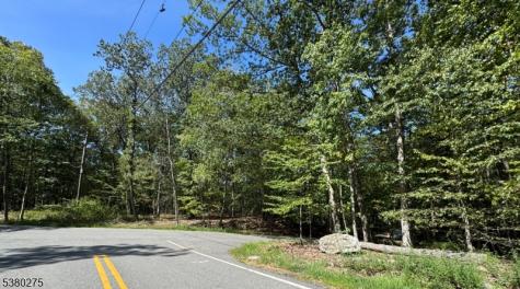 802 Brooklyn Mountain Road Hopatcong NJ 07843