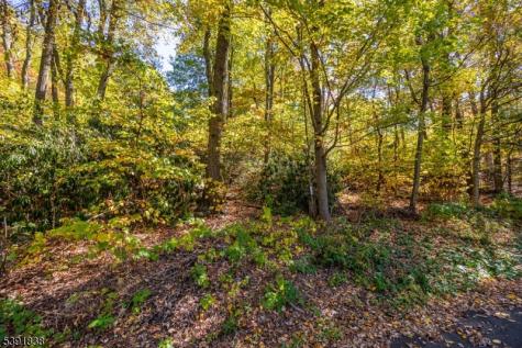 2011 Lakeside Drive Vernon NJ 07422