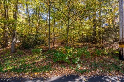2011 Lakeside Drive Vernon NJ 07422