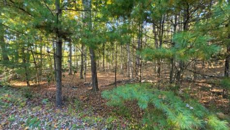 Hotalen Road Sandyston NJ 07826
