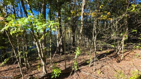 Hotalen Road Sandyston NJ 07826