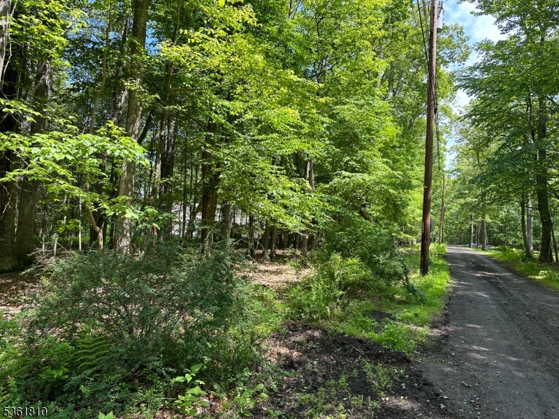 Devita Road Sandyston NJ 07826