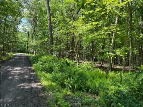 Devita Road Sandyston NJ 07826