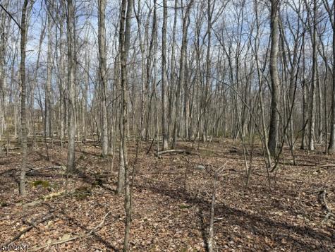 Mount Salem Road Wantage NJ 07461