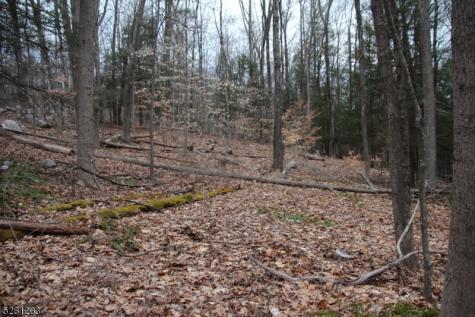 Mount Benevolence Road Stillwater NJ 07860