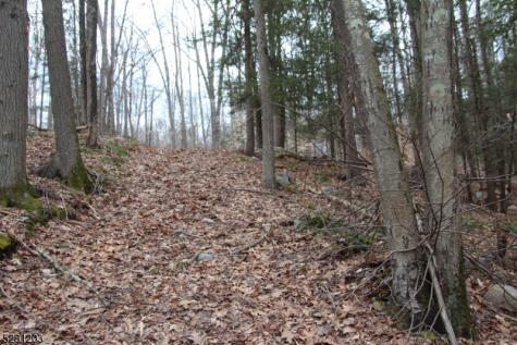 Mount Benevolence Road Stillwater NJ 07860