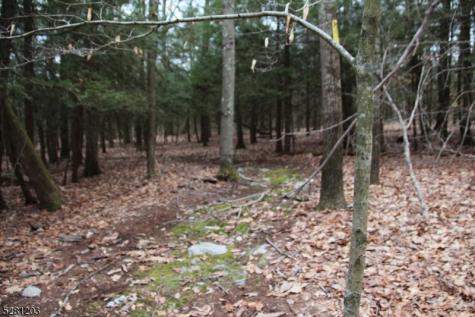 Mount Benevolence Road Stillwater NJ 07860