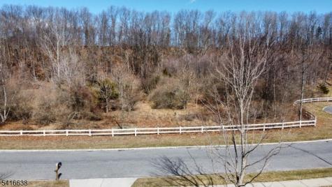 11 Lackawanna Drive Frelinghuysen NJ 07860