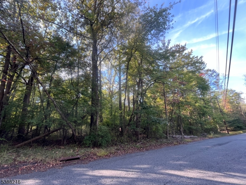 27 Elm Avenue Warren NJ 07059