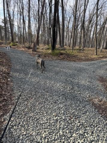 24 Shagbark Lane Readington NJ 08889