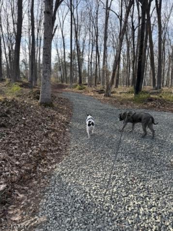 24 Shagbark Lane Readington NJ 08889