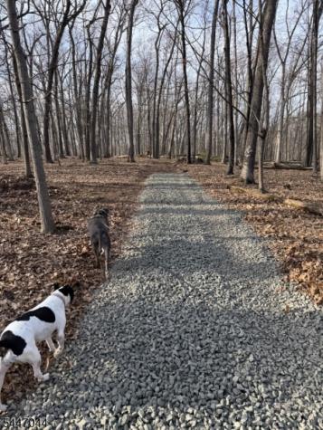 24 Shagbark Lane Readington NJ 08889