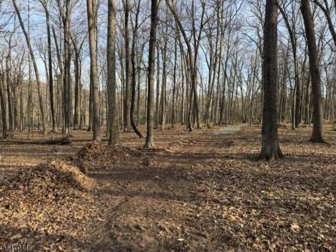 24 Shagbark Lane Readington NJ 08889